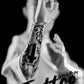1/6 12inch TATTOO Action Body 13th x Lister